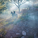 Assassin’s Creed Origins